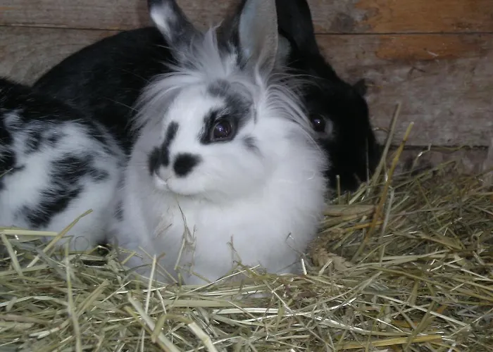 Erlebnishof Katthusen Apartman *